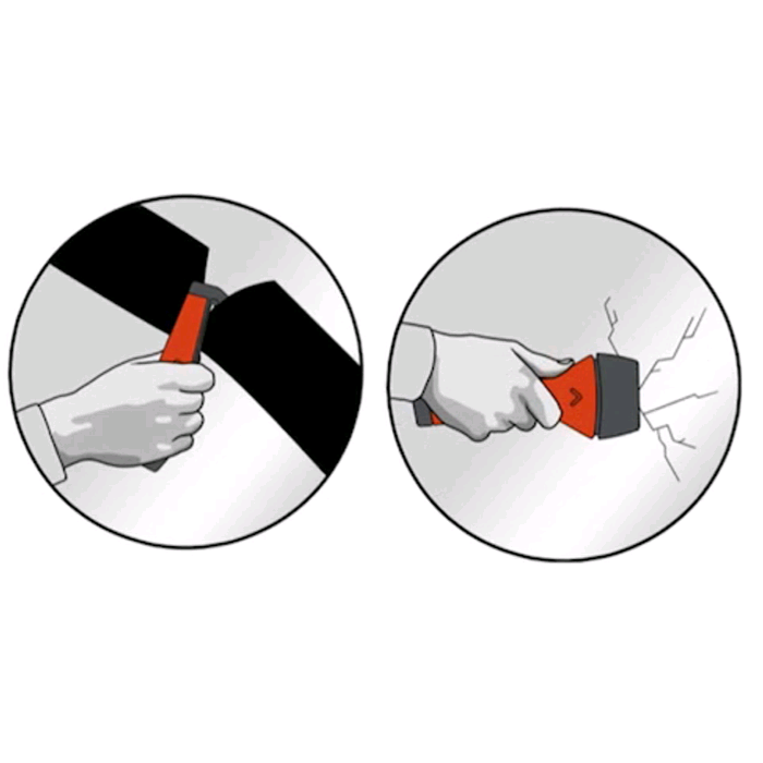 Life Hammer evolution